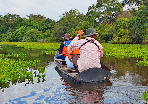Uncover Colombia - Nature and Wildlife Tours
