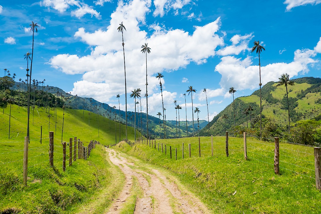Hiking Spots in Colombia
