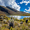 Colombia Nature and Wildlife Safari Tour