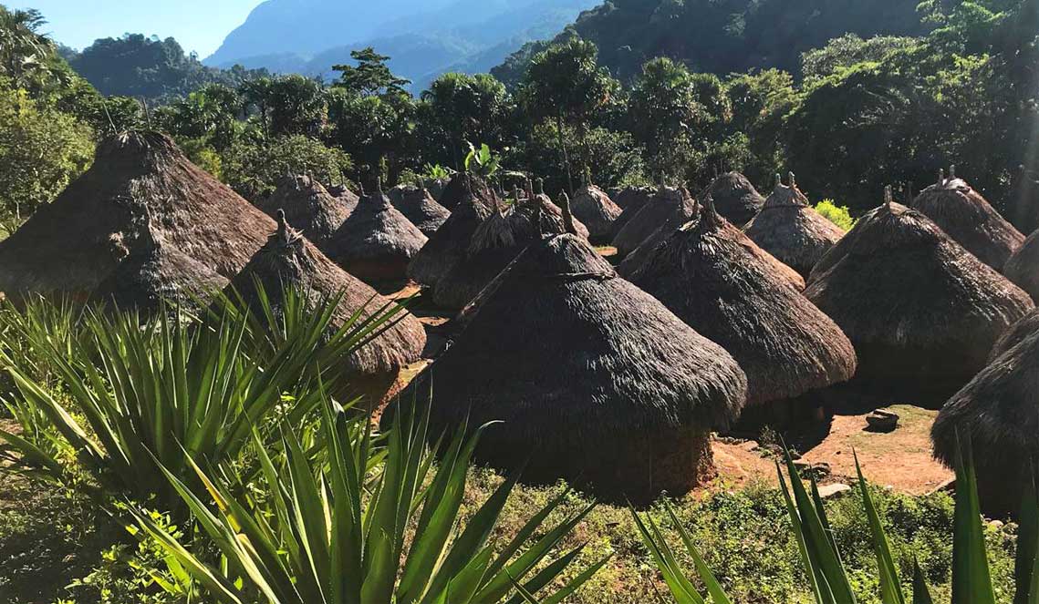 Colombia the lost city tour