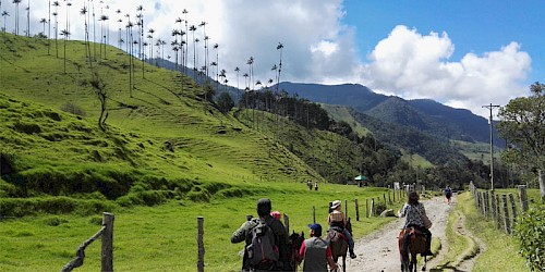 Colombia Holiday Coffee region