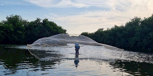 La Boquilla - Fishing experience