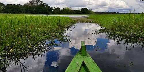 Colombia Amazon Tour