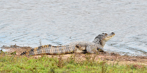 Tour naturalistico e culturale della Colombia