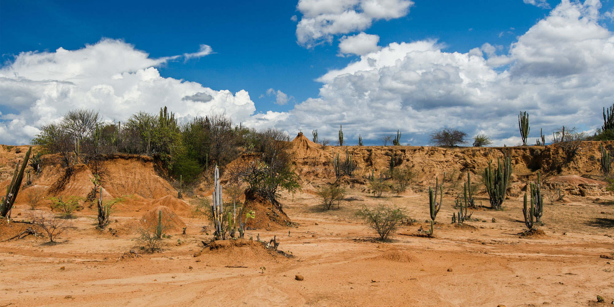 Excursión al desierto de Tatacoa